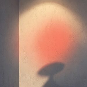 The Things I Told the Wall